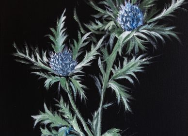 Les chardons bleus