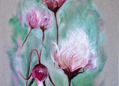 Fleurs de montagne