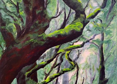La forêt aux légendes