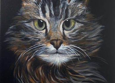 Le chat beauté