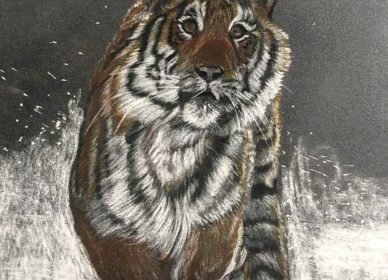 Le Tigre