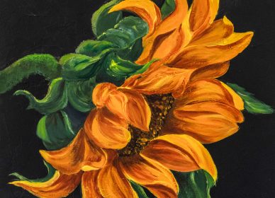 Le tournesol