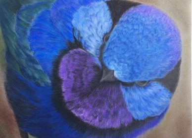 L’oiseau bleu