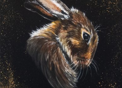 Monsieur lapin