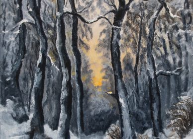 Neige en Foret