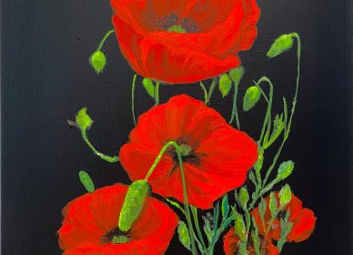 Quelques coquelicots