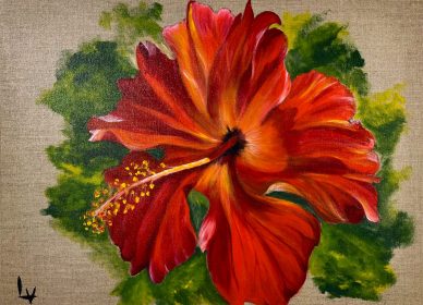Un hibiscus